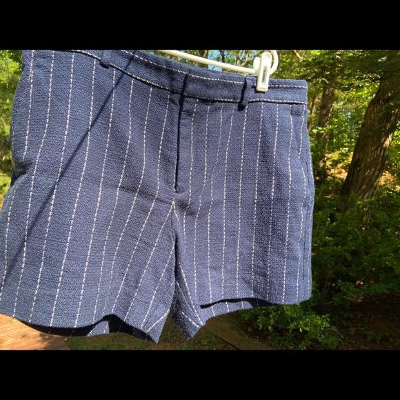 Banana Republic Navy and White Textured Shorts - Picture 2 of 7